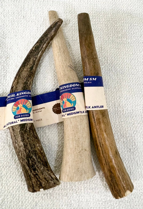 Natural elk antler dog chew for dogs by Animal Kingdom SM